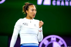 阿扎伦卡在德国队比赛中领先优势明显，锐不可当引发热议！的简单介绍爱游戏体育注册入口